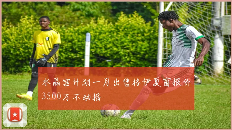 水晶宫计划一月出售格伊夏窗报价3500万不动摇