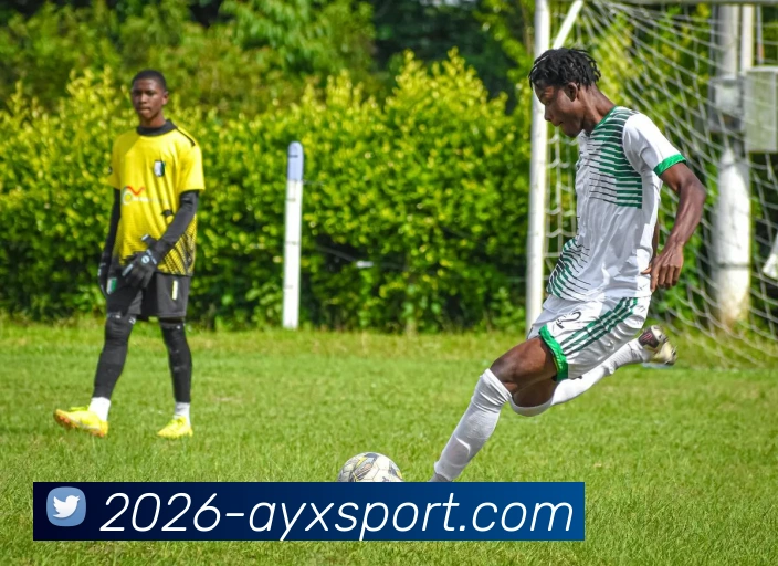 爱游戏体育品牌故事