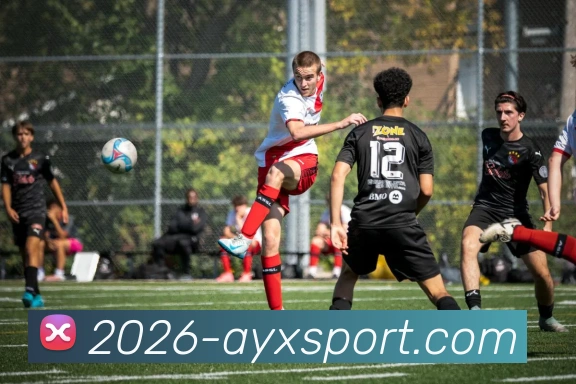 爱游戏体育服务体系